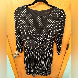 The Limited Polka Dot Dress